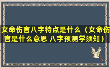 女命伤官八字特点是什么（女命伤官是什么意思 八字预测学须知）